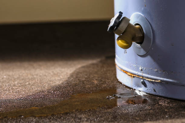 Best Carpet water damage restoration  in Saltillo, MS