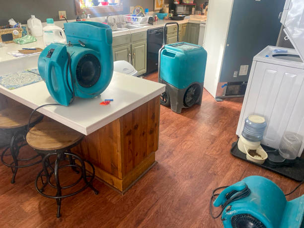  Saltillo, MS Water damage restoration Pros