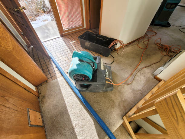 Best Sewage cleanup and water damage restoration  in Saltillo, MS