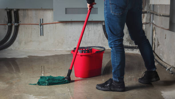 Best Water damage cleanup near me  in Saltillo, MS