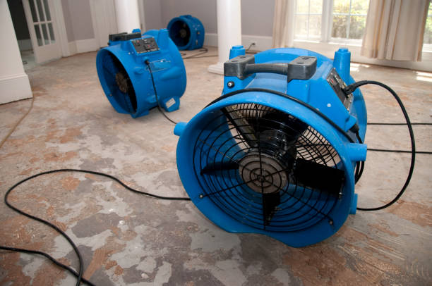 Best Flooded house restoration  in Saltillo, MS
