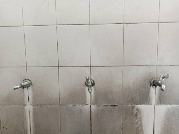 Best Emergency water damage restoration  in Saltillo, MS