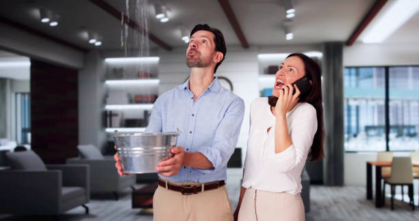 Best Commercial water damage restoration  in Saltillo, MS