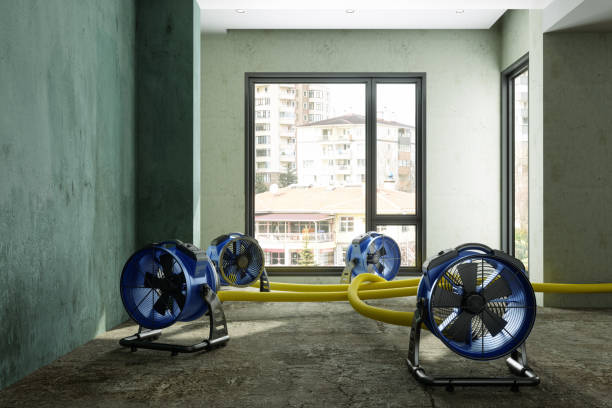 Best Water damage restoration near me  in Saltillo, MS