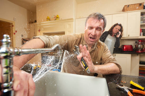 Best Professional water damage repair  in Saltillo, MS